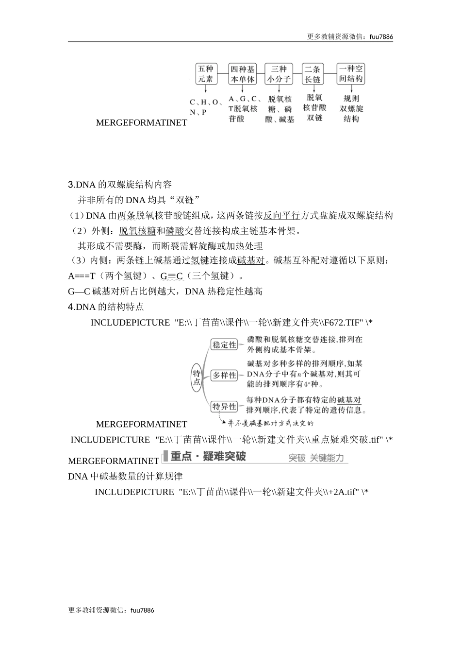 第17讲 DNA的结构、复制及基因的本质.doc_第2页