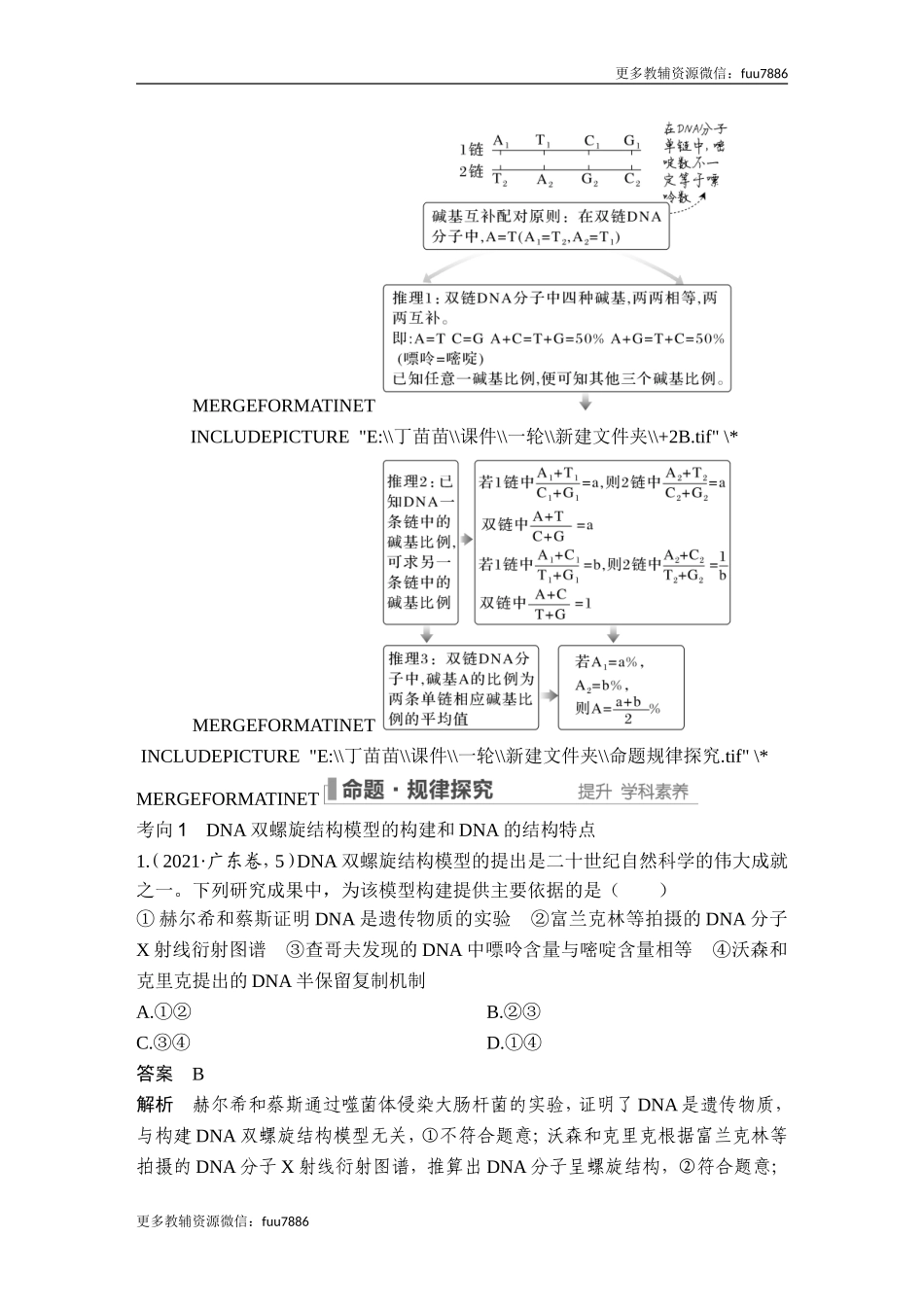 第17讲 DNA的结构、复制及基因的本质.doc_第3页