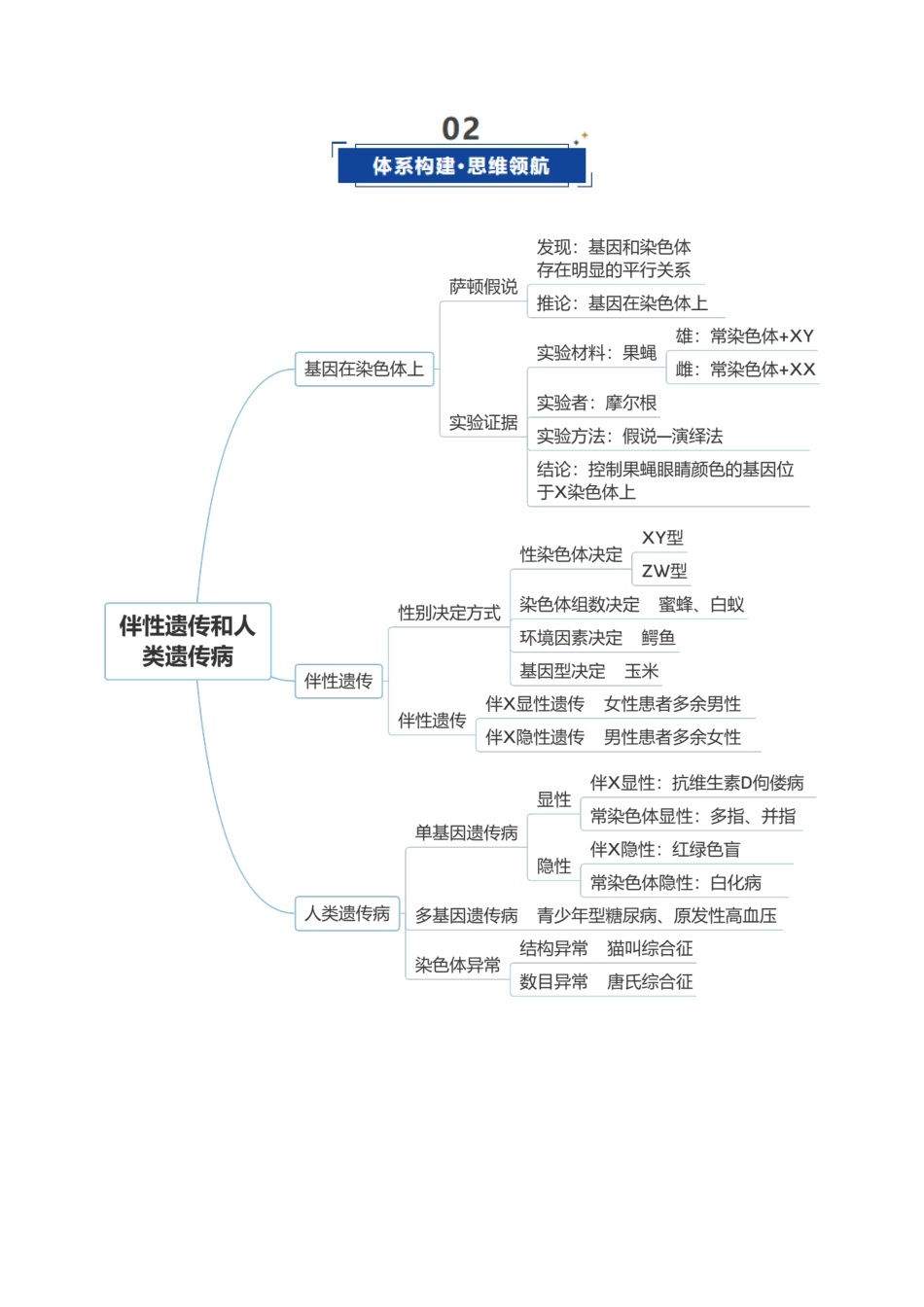 第17讲 伴性遗传和人类遗传病(复习讲义)(全国通用)(教师版).docx_第3页