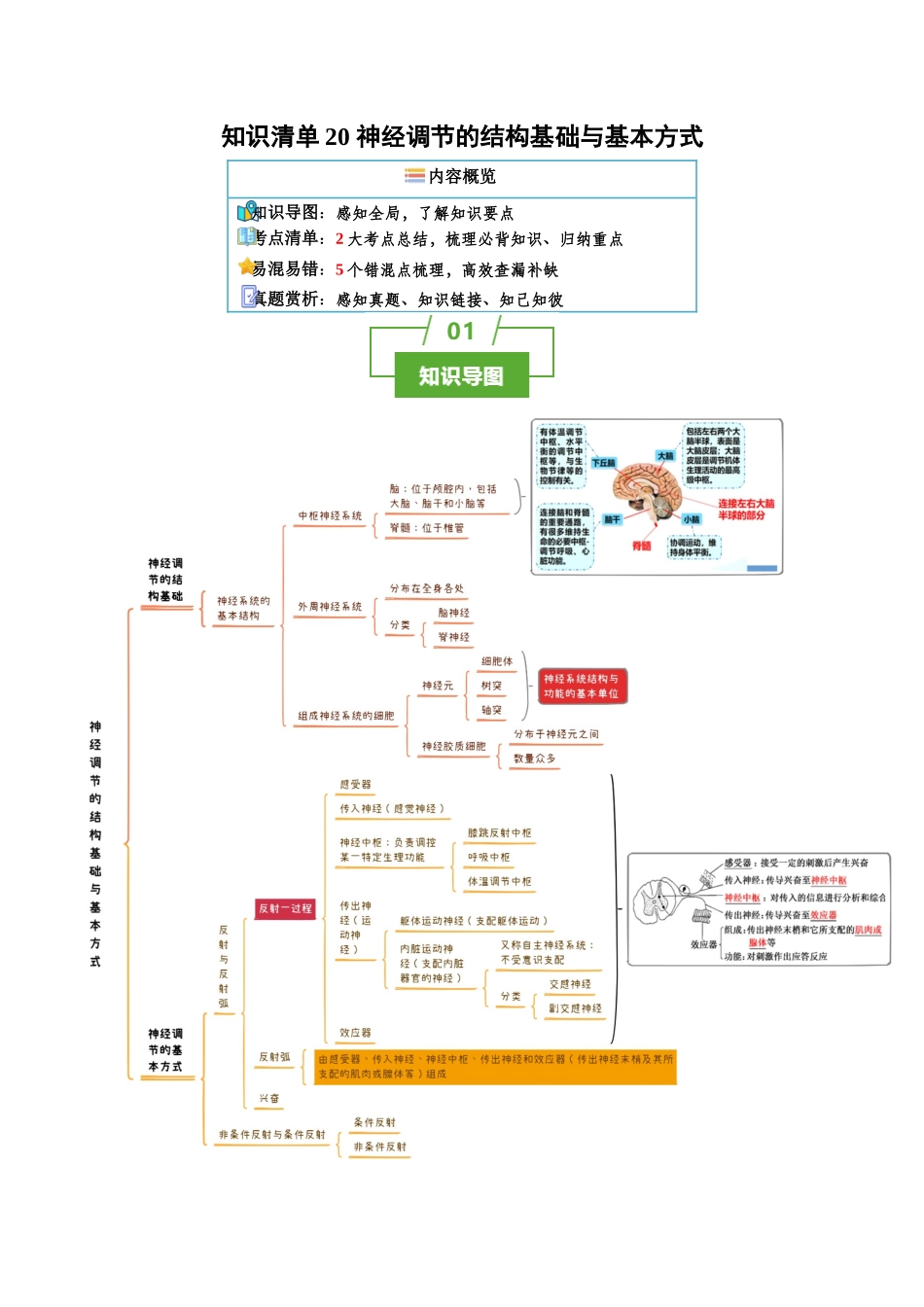知识清单20 神经调节的结构基础与基本方式(2大考点+5个易错点).docx_第1页