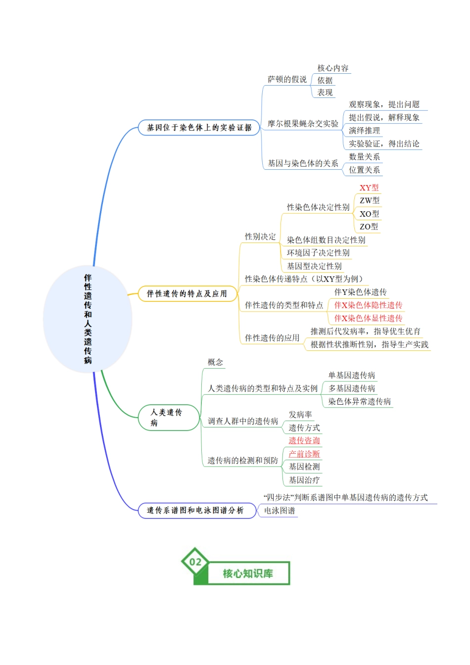 第17讲 伴性遗传和人类遗传病(知识清单)(全国通用)(教师版).docx_第2页
