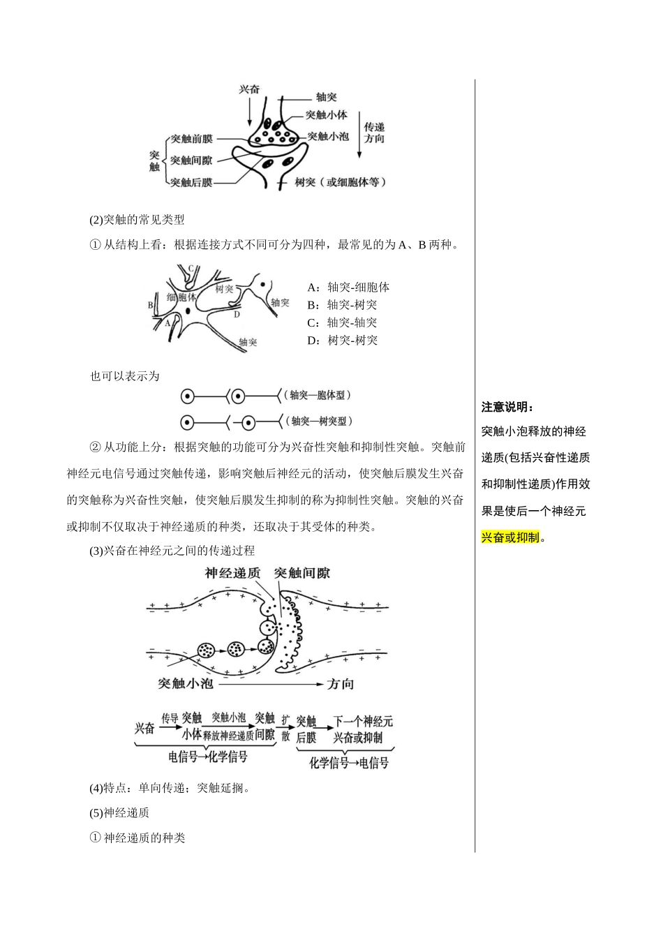 知识清单21 神经调节(3大考点+7个易错点).docx_第3页