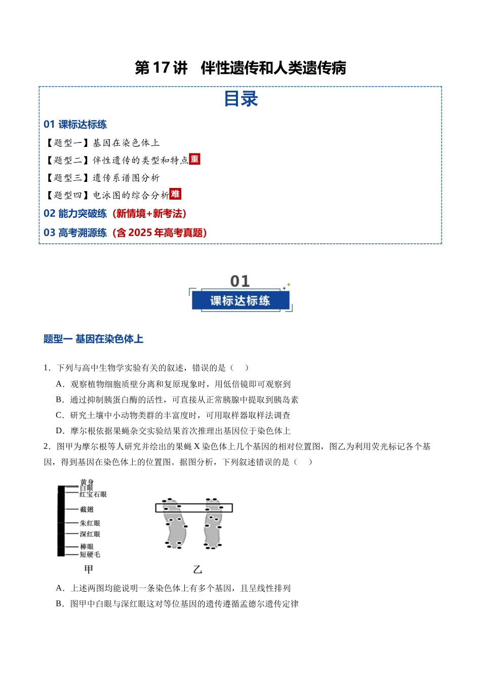 第17讲 伴性遗传和人类遗传病（专项训练）（学生版） .docx_第1页