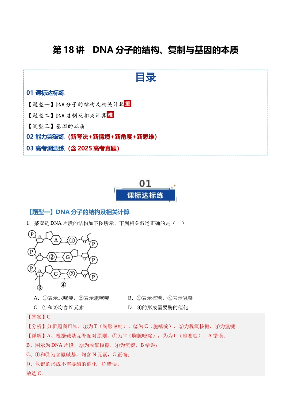 第18讲 DNA分子的结构、复制与基因的本质(专项训练)(黑吉辽蒙专用)(教师版).docx_第1页