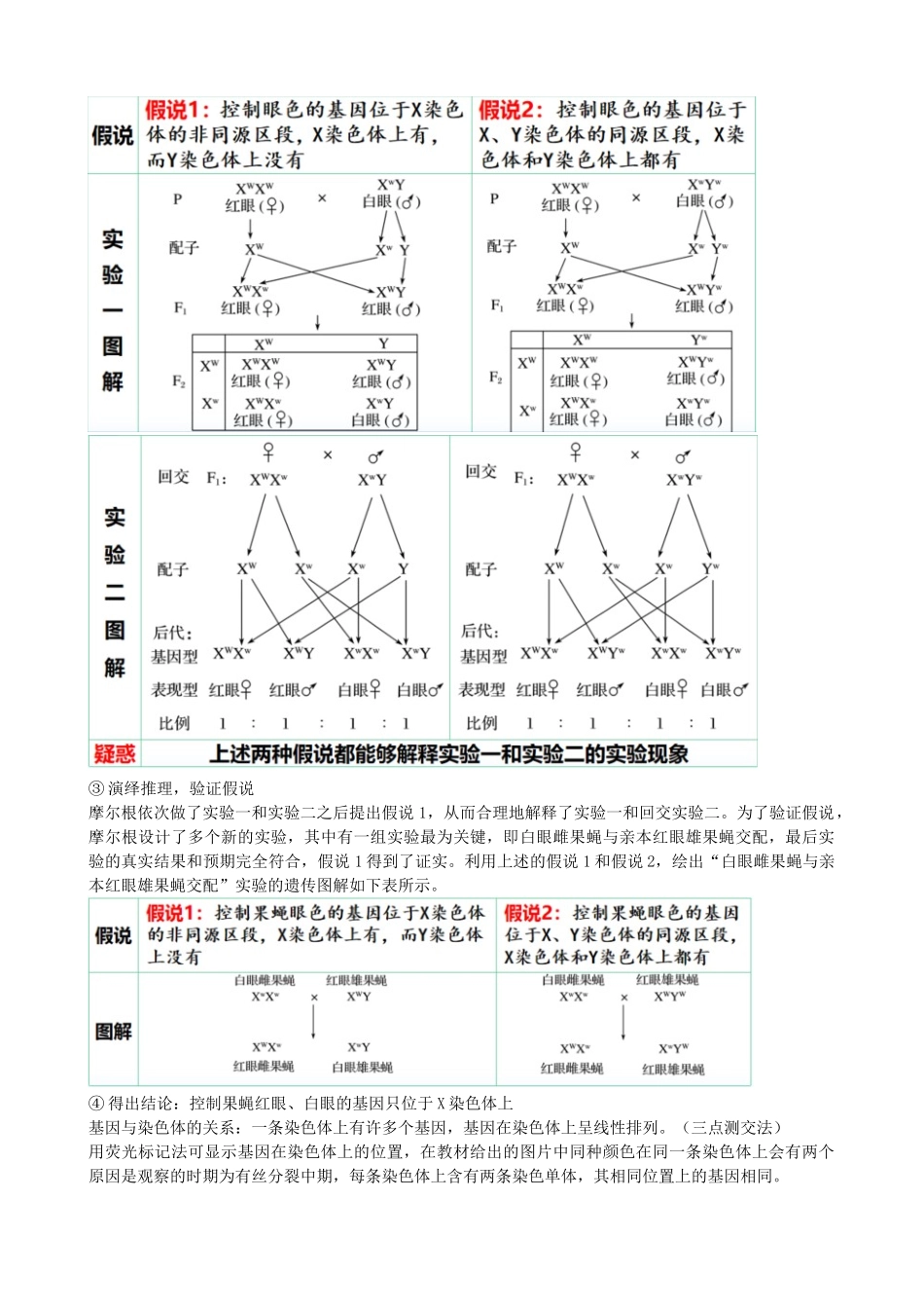 第18讲 伴性遗传和人类遗传病(讲义)(教师版).docx_第3页