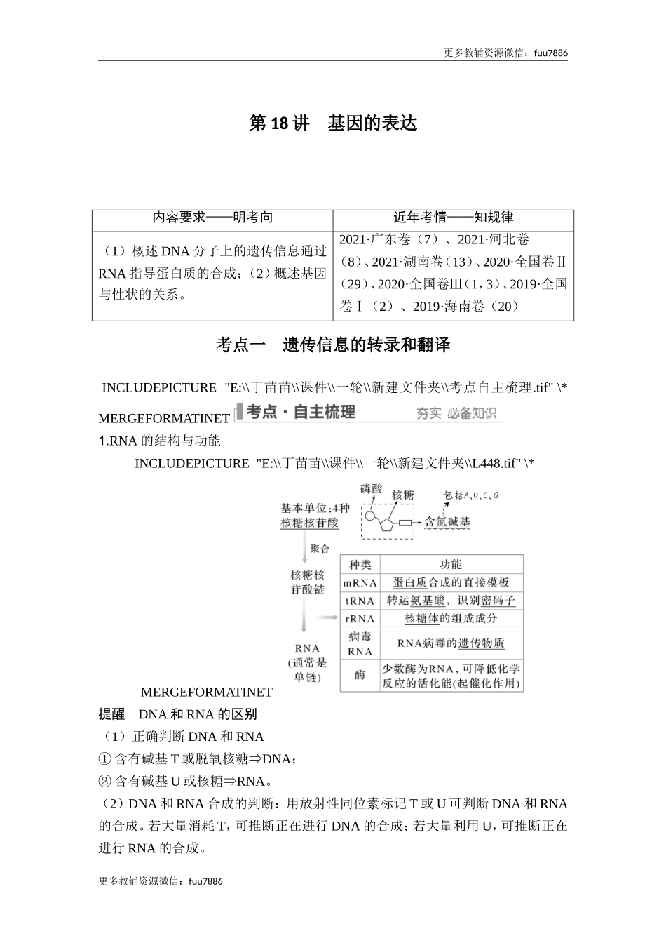 第18讲 基因的表达.doc_第1页
