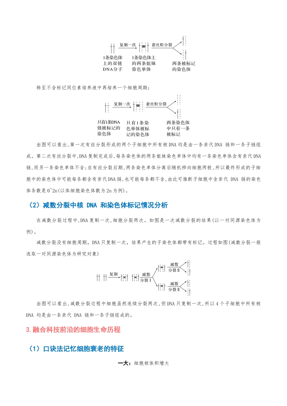 重难点06 细胞的生命历程(解析版).docx_第3页