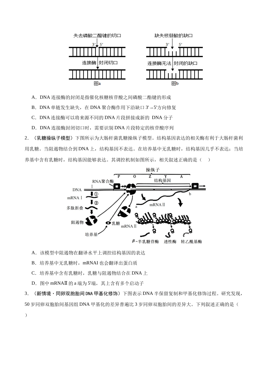 重难点09 基因表达突破(原卷版).docx_第3页