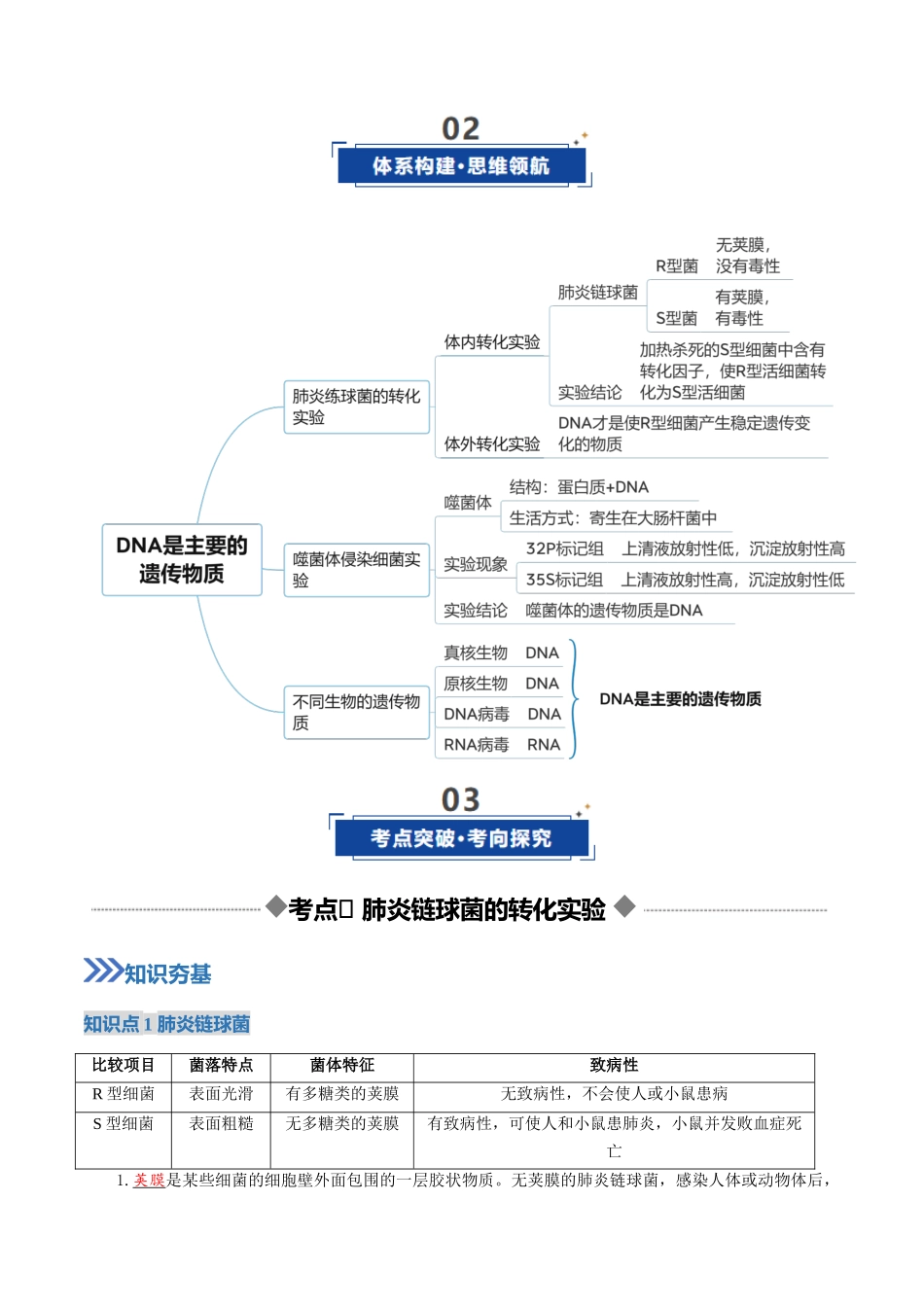 第19讲 DNA是主要的遗传物质(复习讲义)(全国通用)(解析版).docx_第3页