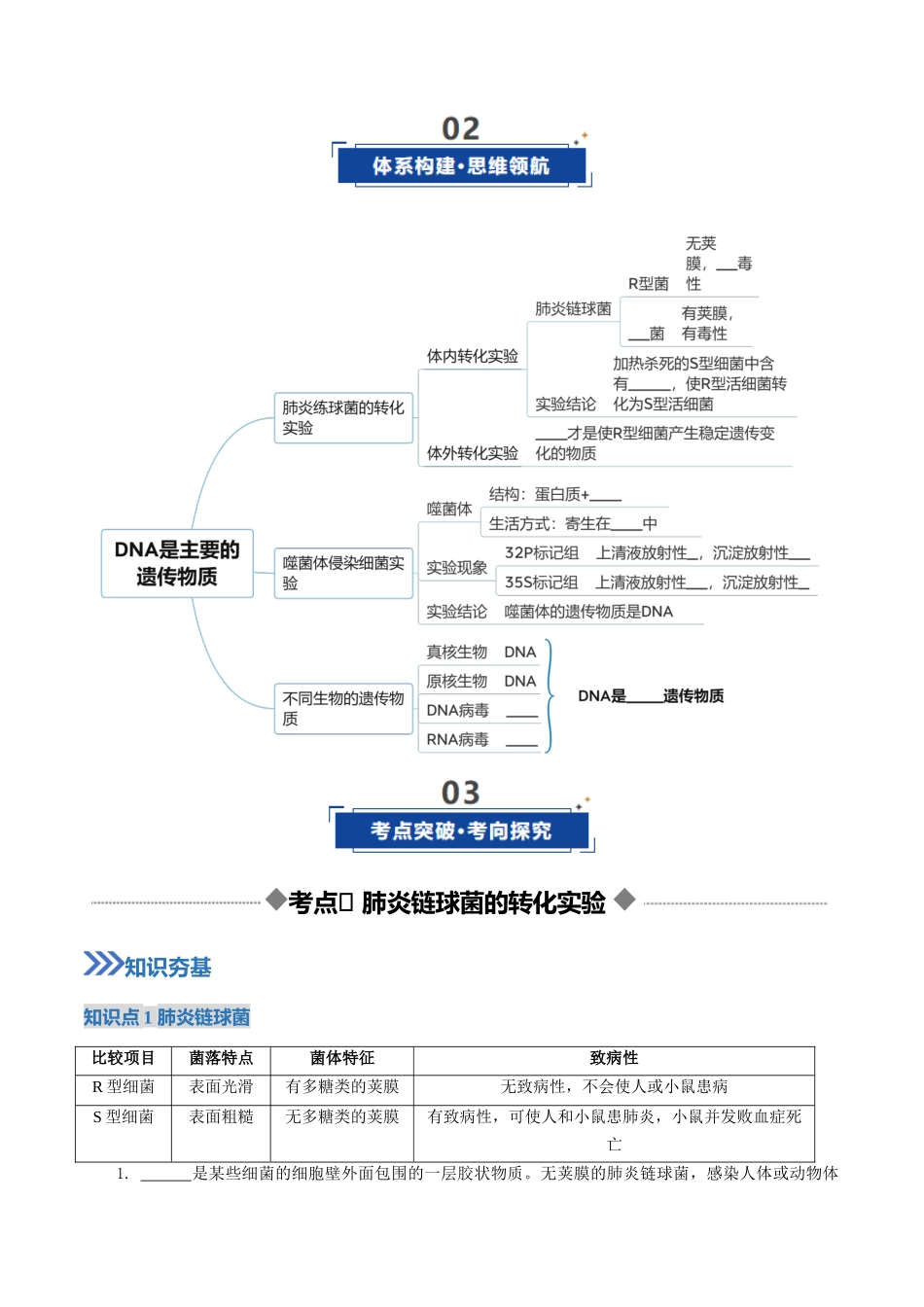 第19讲 DNA是主要的遗传物质(复习讲义)(全国通用)(原卷版).docx_第3页