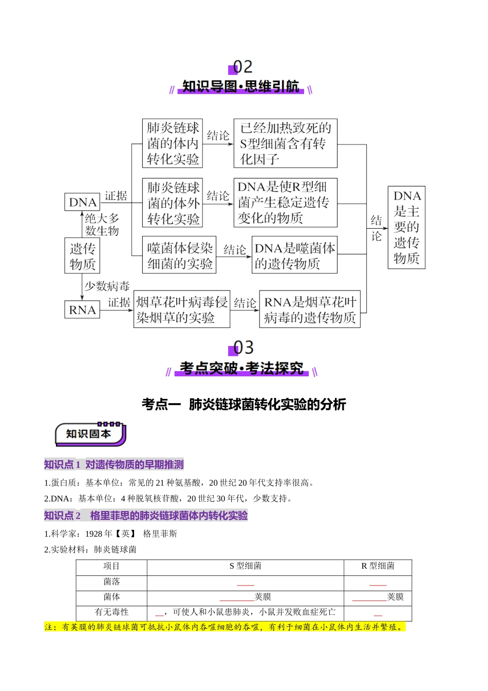 第19讲 DNA是主要的遗传物质(讲义)(学生版).docx_第3页