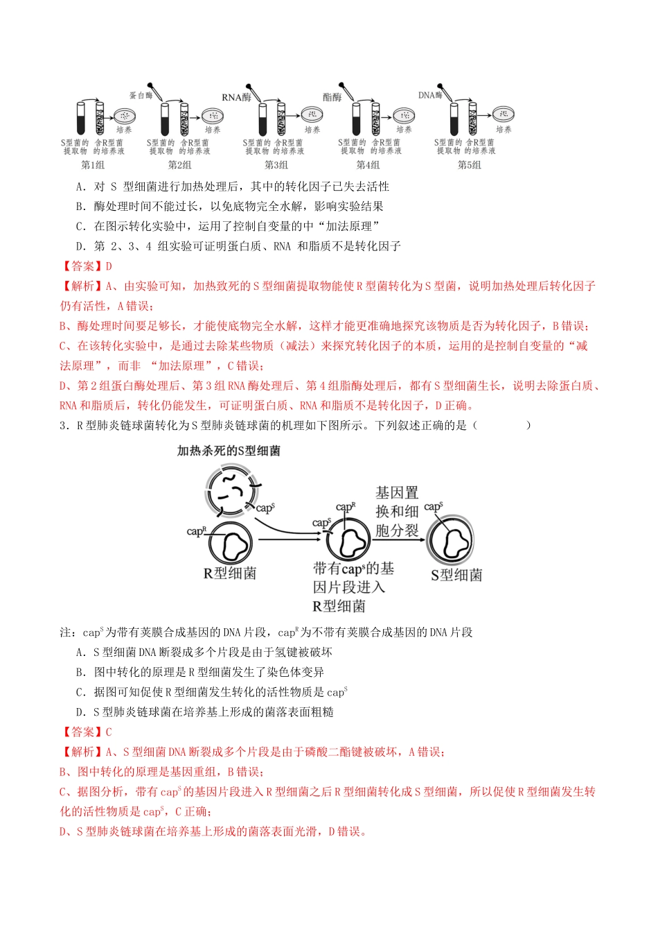 第19讲 DNA是主要的遗传物质（专项训练）（教师版）.docx_第2页