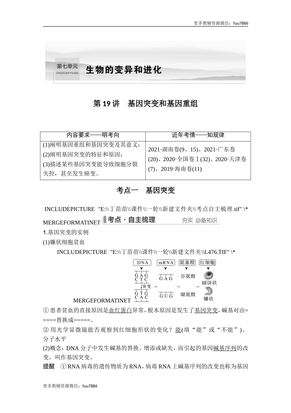 第19讲 基因突变和基因重组.doc_第1页