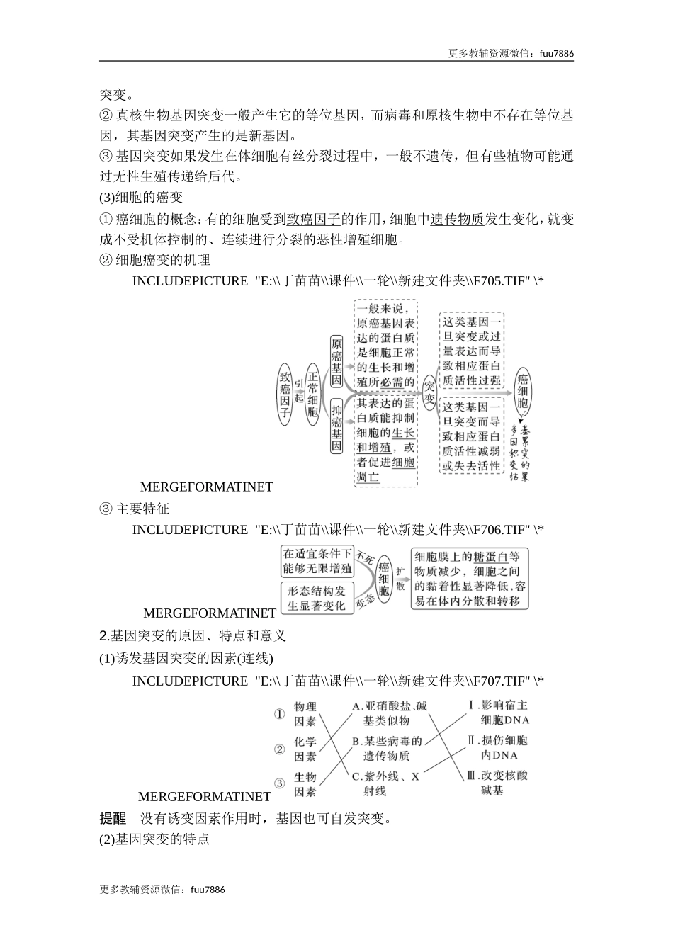 第19讲 基因突变和基因重组.doc_第2页