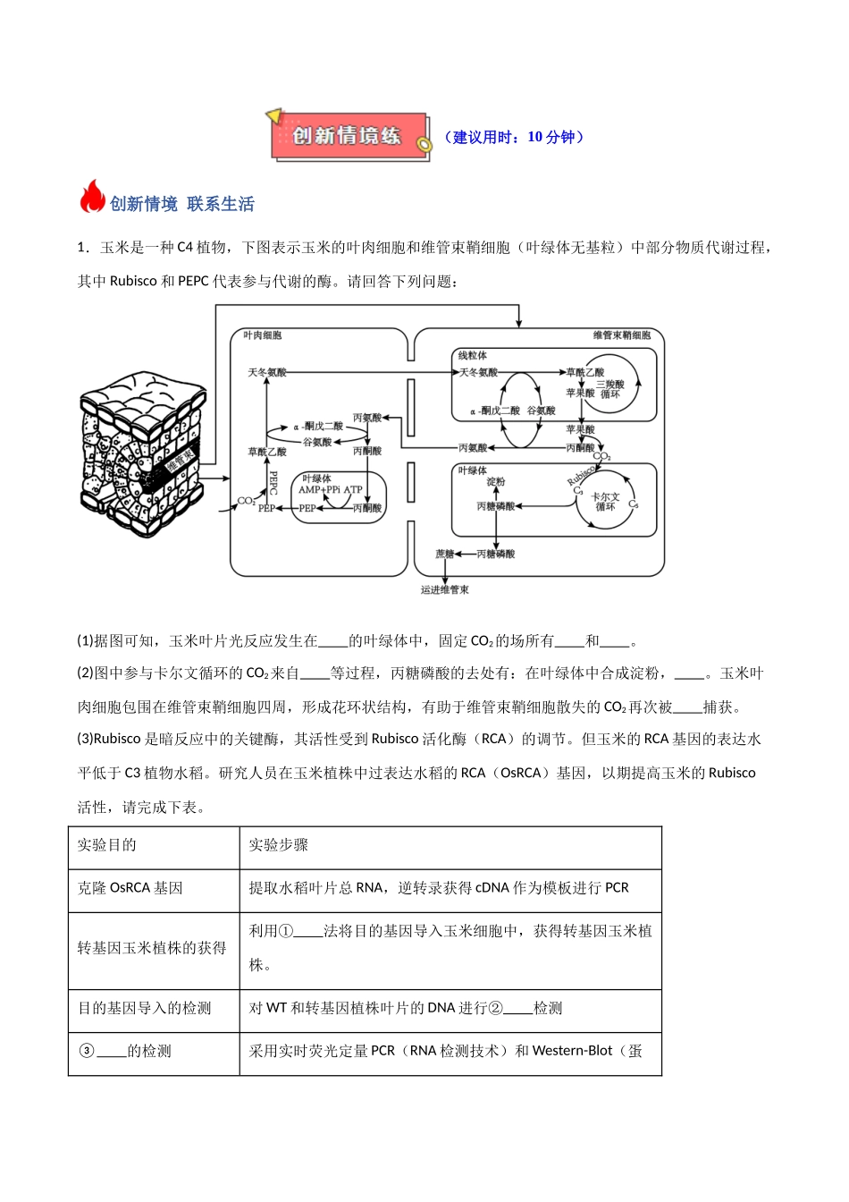 重难题型02 C3植物、C4植物和CAM植物的光合作用（教师版）.docx_第3页