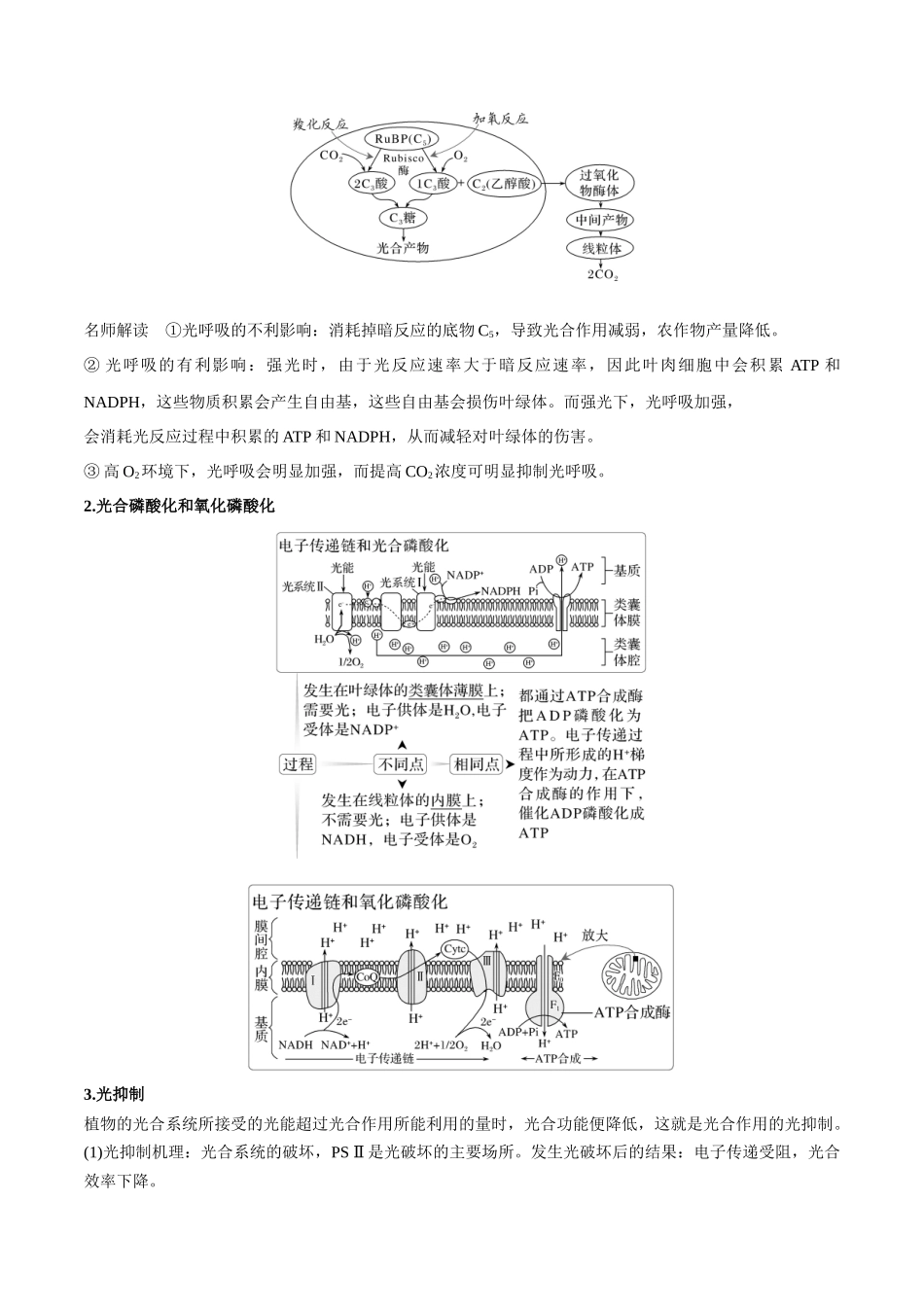 重难题型03 光呼吸、光抑制与光系统(教师版).docx_第2页