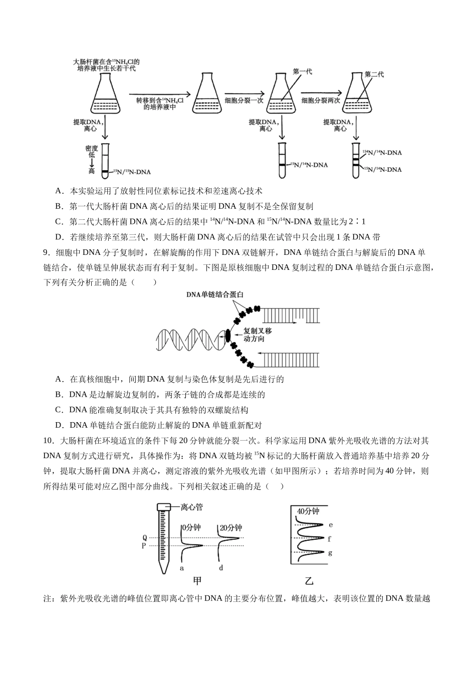 第20讲  DNA分子的结构、复制与基因的本质（专项训练）（四川专用）（学生版）.docx_第3页