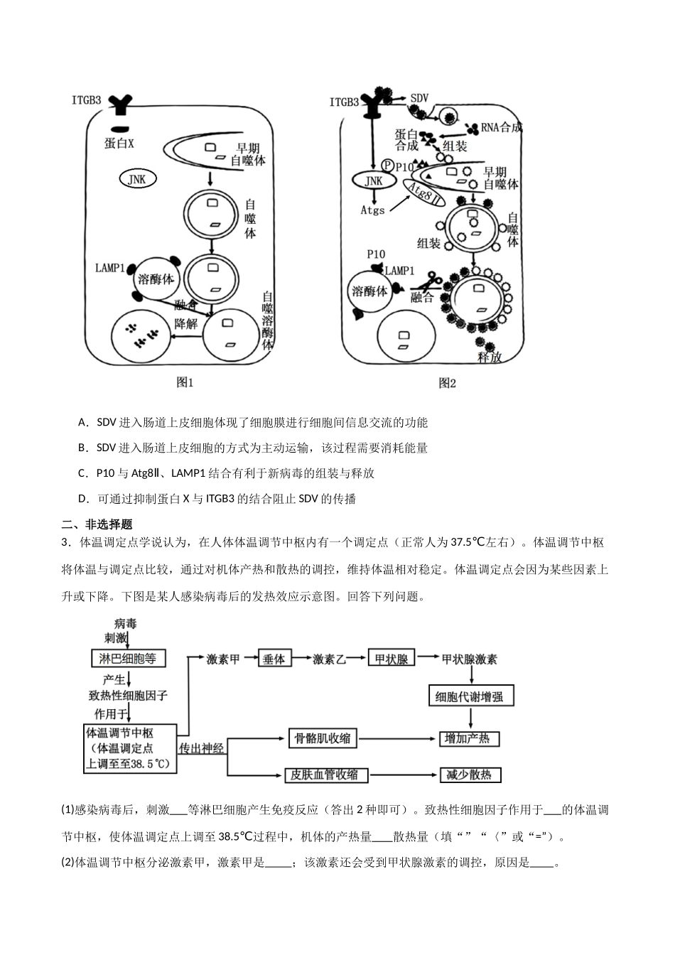 重难题型04 病毒相关(学生版).docx_第3页