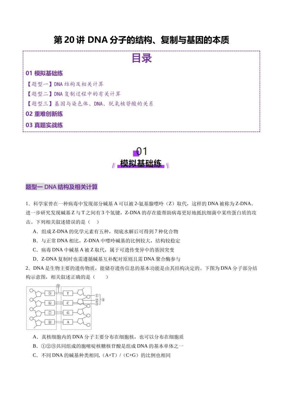 第20讲 DNA分子的结构、复制与基因的本质（练习）（学生版）.docx_第1页