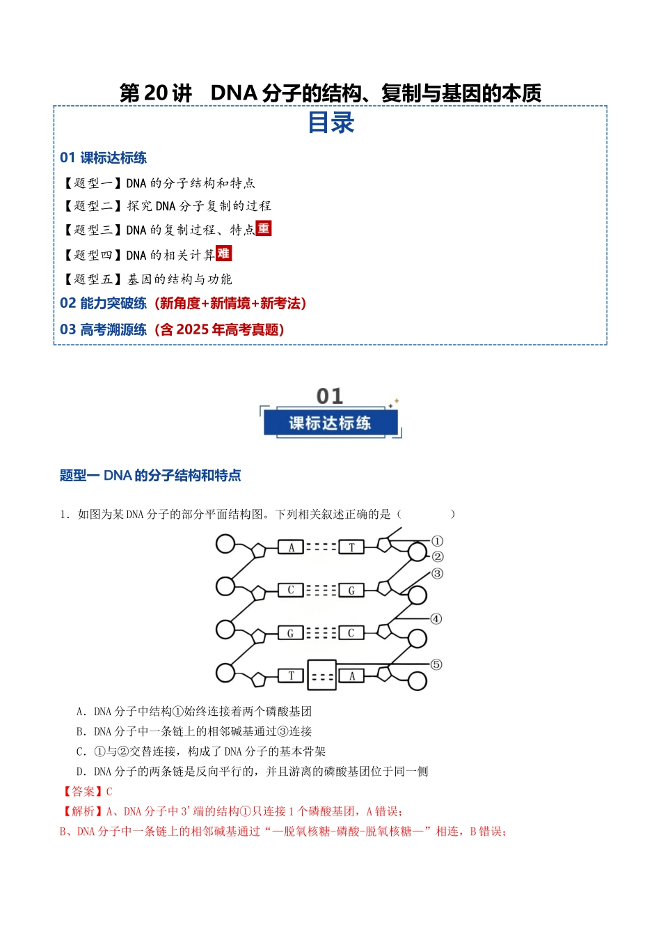 第20讲 DNA分子的结构、复制与基因的本质（专项训练）（教师版）.docx_第1页