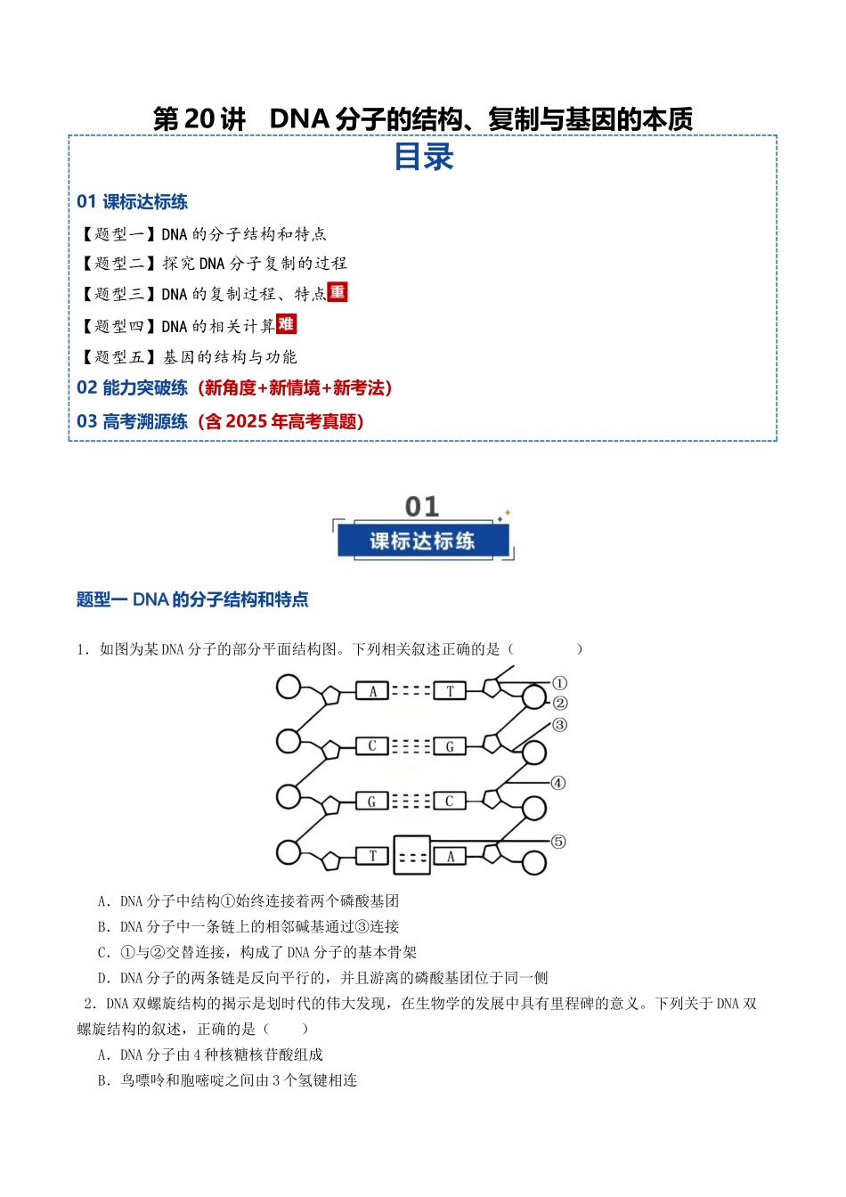 第20讲 DNA分子的结构、复制与基因的本质(专项训练)(学生版).docx_第1页