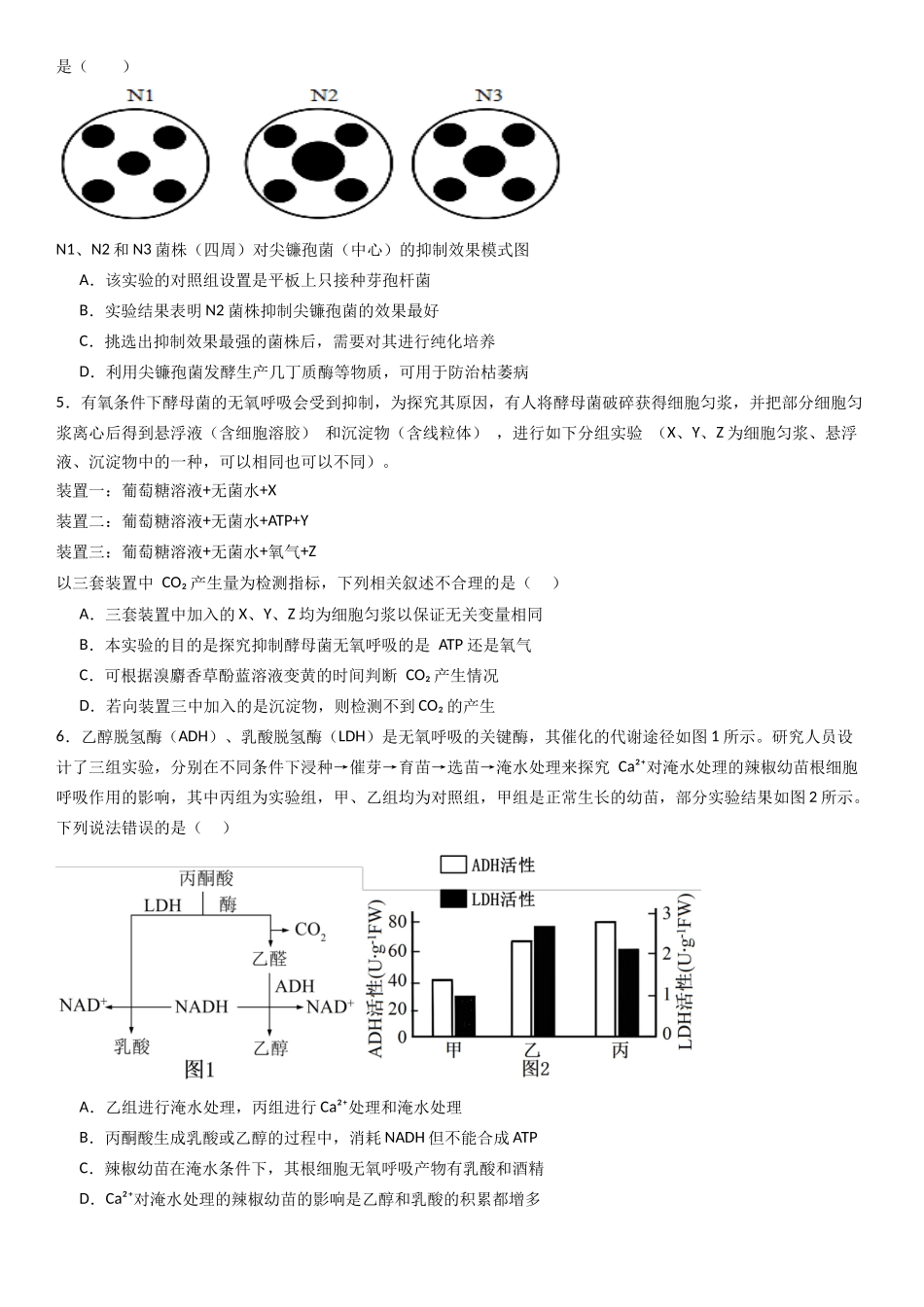 专练08 实验探究（50题）（学生版）.docx_第2页