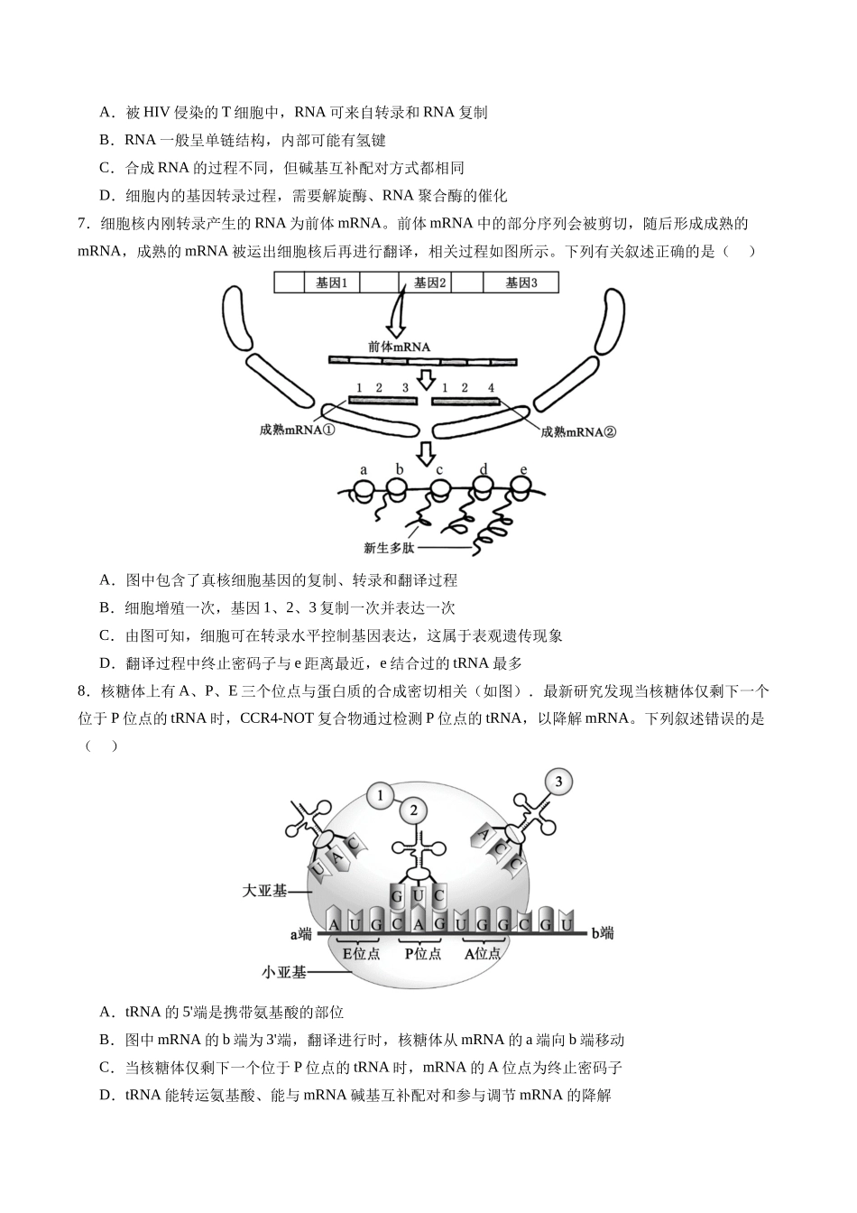 第21讲  基因的表达、基因与性状的关系（专项训练）（四川专用）（学生版）.docx_第3页