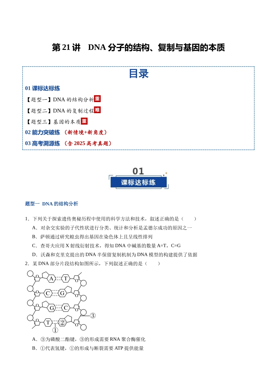 第21讲 DNA分子的结构、复制和基因的本质（专项训练）（福建专用）（学生版）.docx_第1页