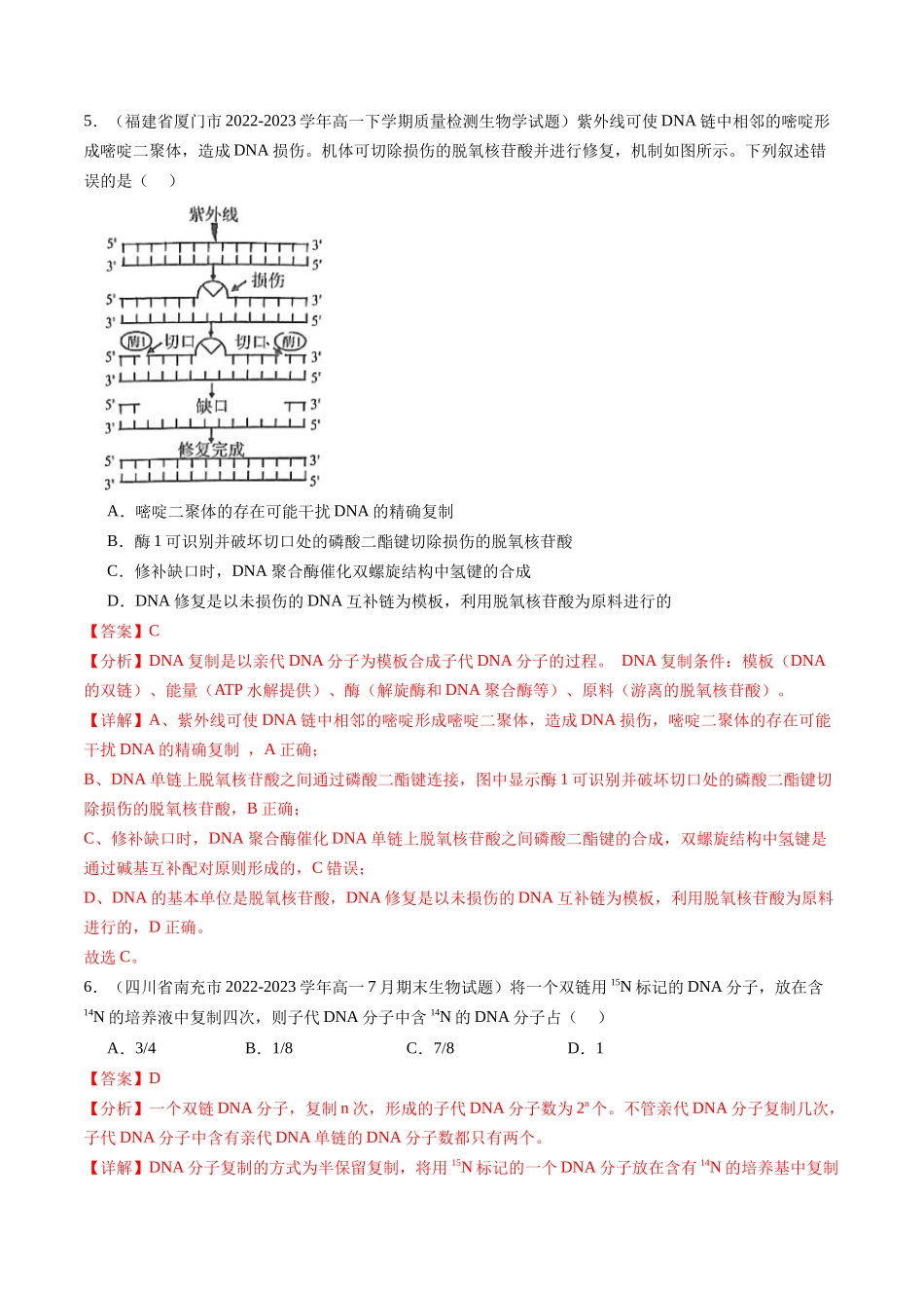 第21讲 DNA分子的结构、复制与基因的本质（练习）（解析版）.docx_第3页