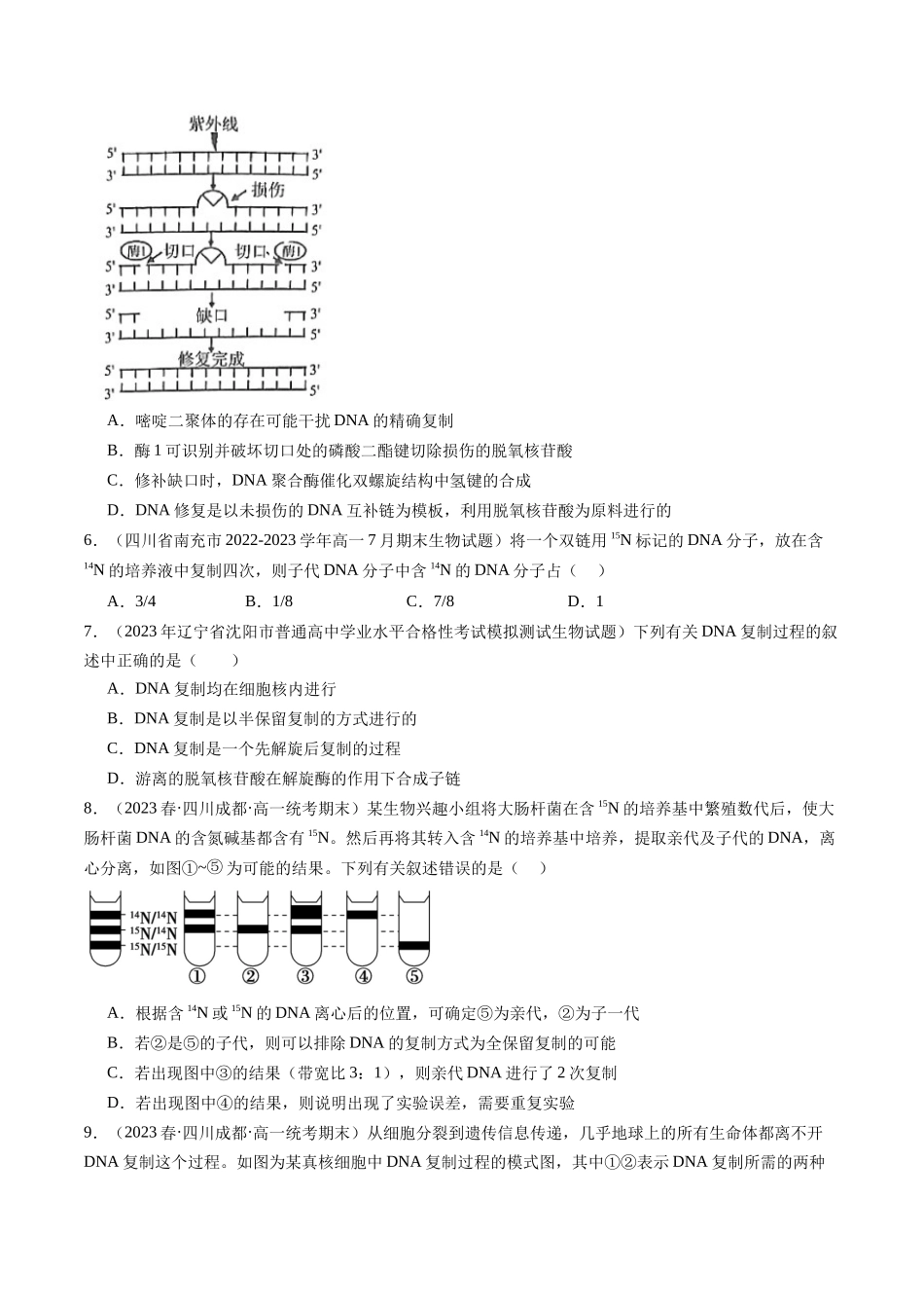 第21讲 DNA分子的结构、复制与基因的本质(练习)(原卷版).docx_第2页