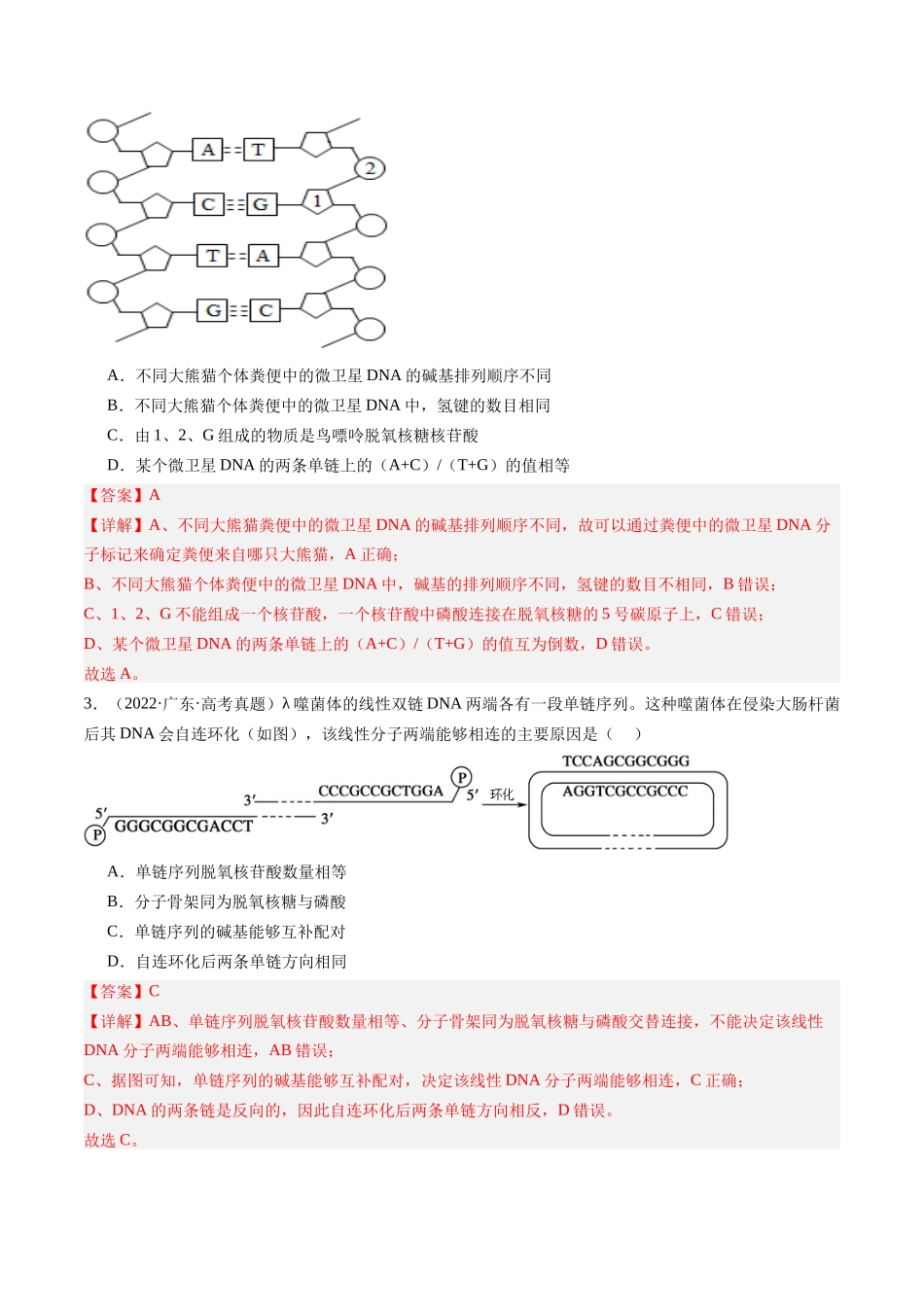 第21讲 DNA分子的结构、复制与基因的本质(专项训练)(安徽专用)(教师版).docx_第2页