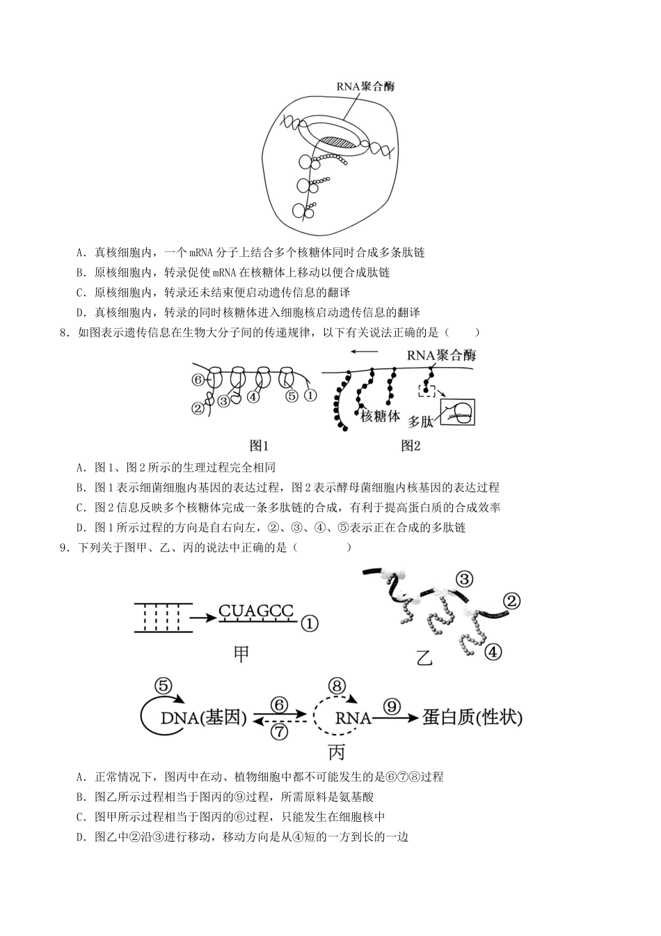 第21讲 基因的表达、基因与性状的关系(专项训练)(学生版).docx_第3页