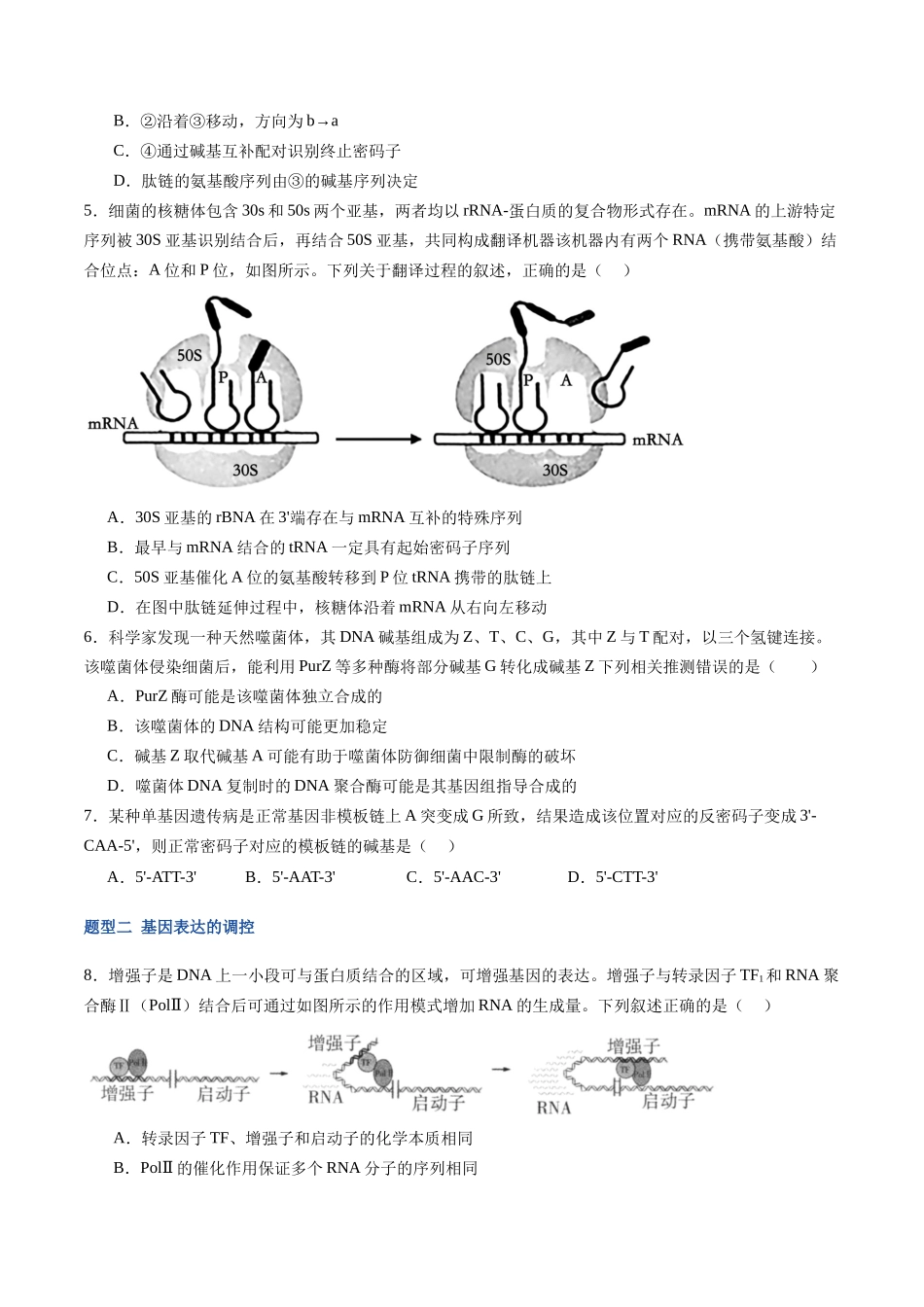 第22讲 基因的表达(专项训练)(福建专用)(学生版) .docx_第3页