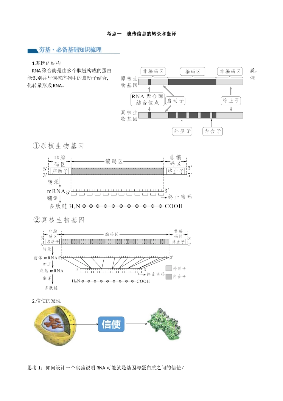 第22讲 基因的表达、基因与性状的关系(讲义)(学生版).docx_第2页