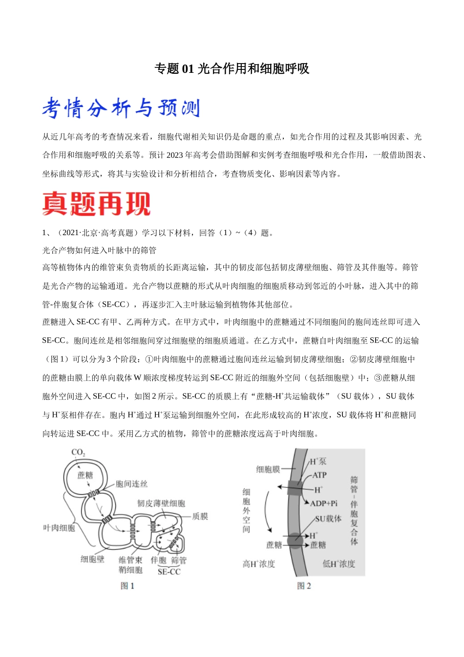专题01 光合作用和细胞呼吸（北京卷）（解析版）.docx_第1页