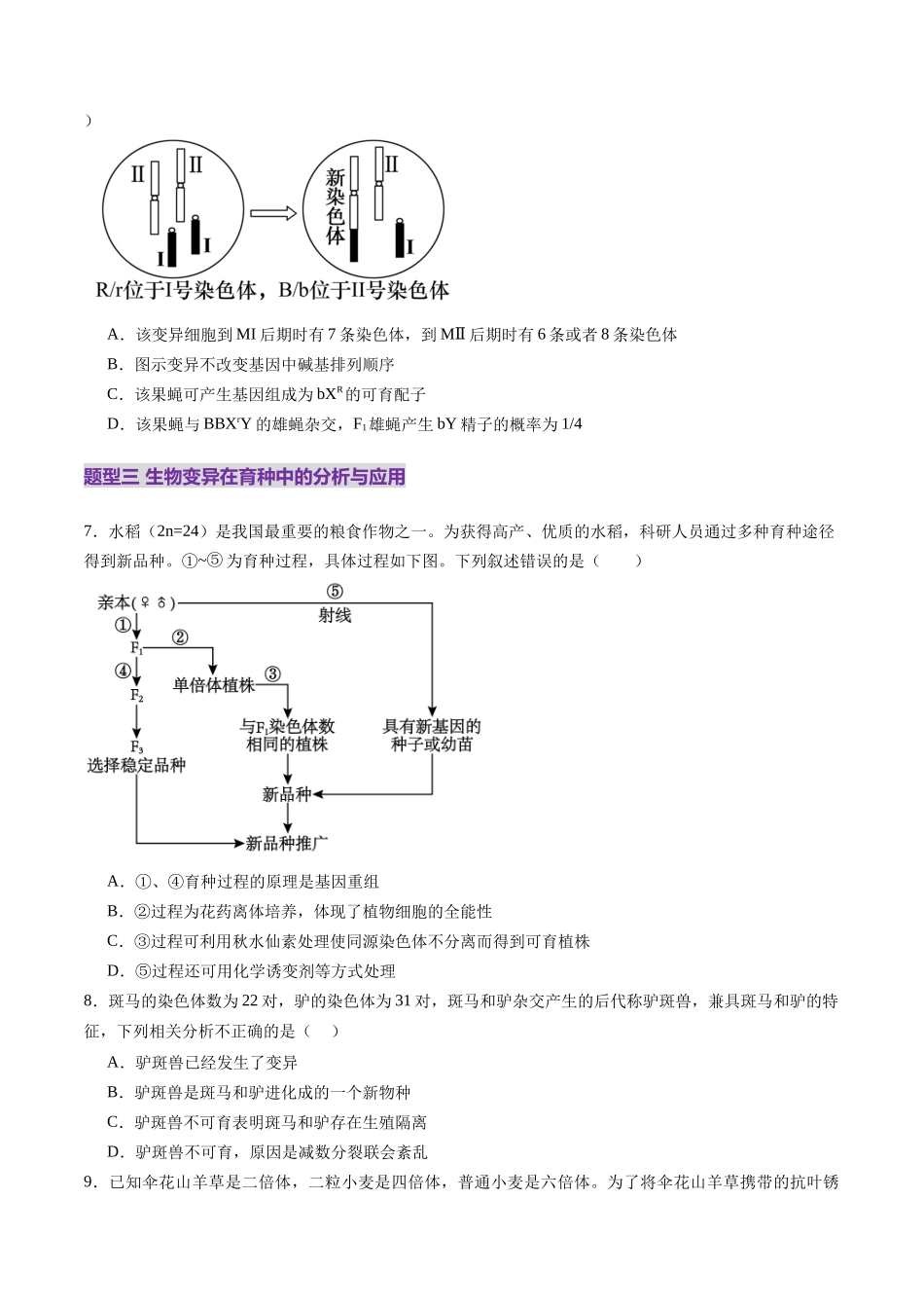 第22讲 生物的变异(第二课时,染色体变异)(练习)(学生版).docx_第3页