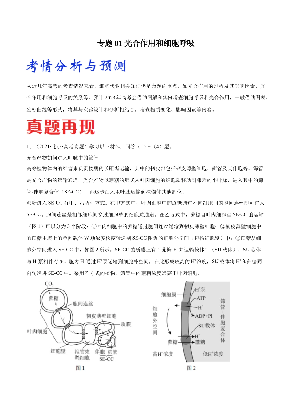 专题01 光合作用和细胞呼吸(北京卷)(原卷版).docx_第1页
