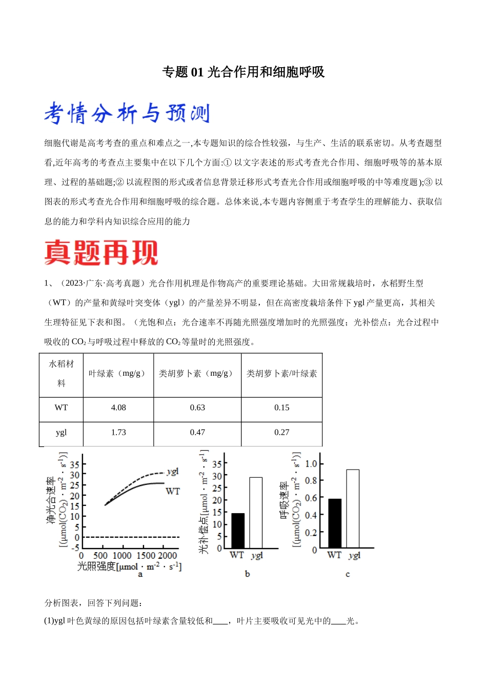 专题01 光合作用和细胞呼吸（广东卷）（解析版）.docx_第1页
