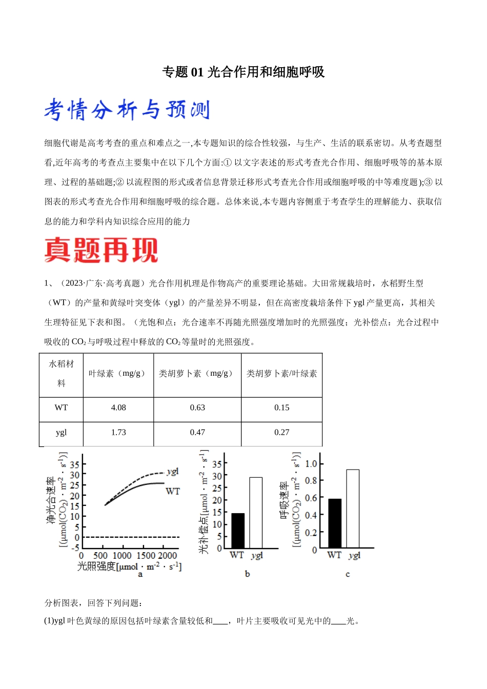 专题01 光合作用和细胞呼吸(广东卷)(原卷版).docx_第1页