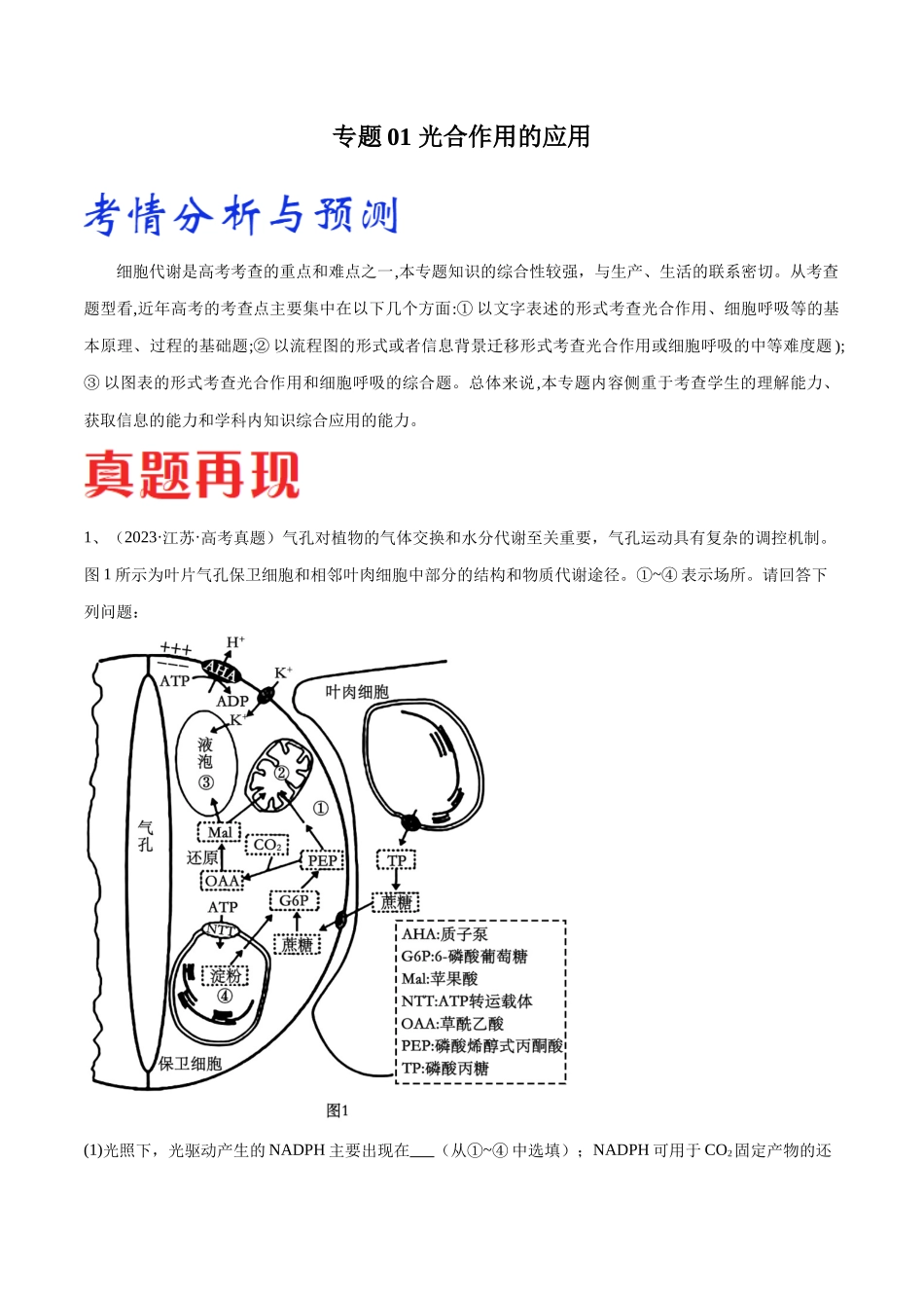 专题01 光合作用和细胞呼吸(解析版).docx_第1页