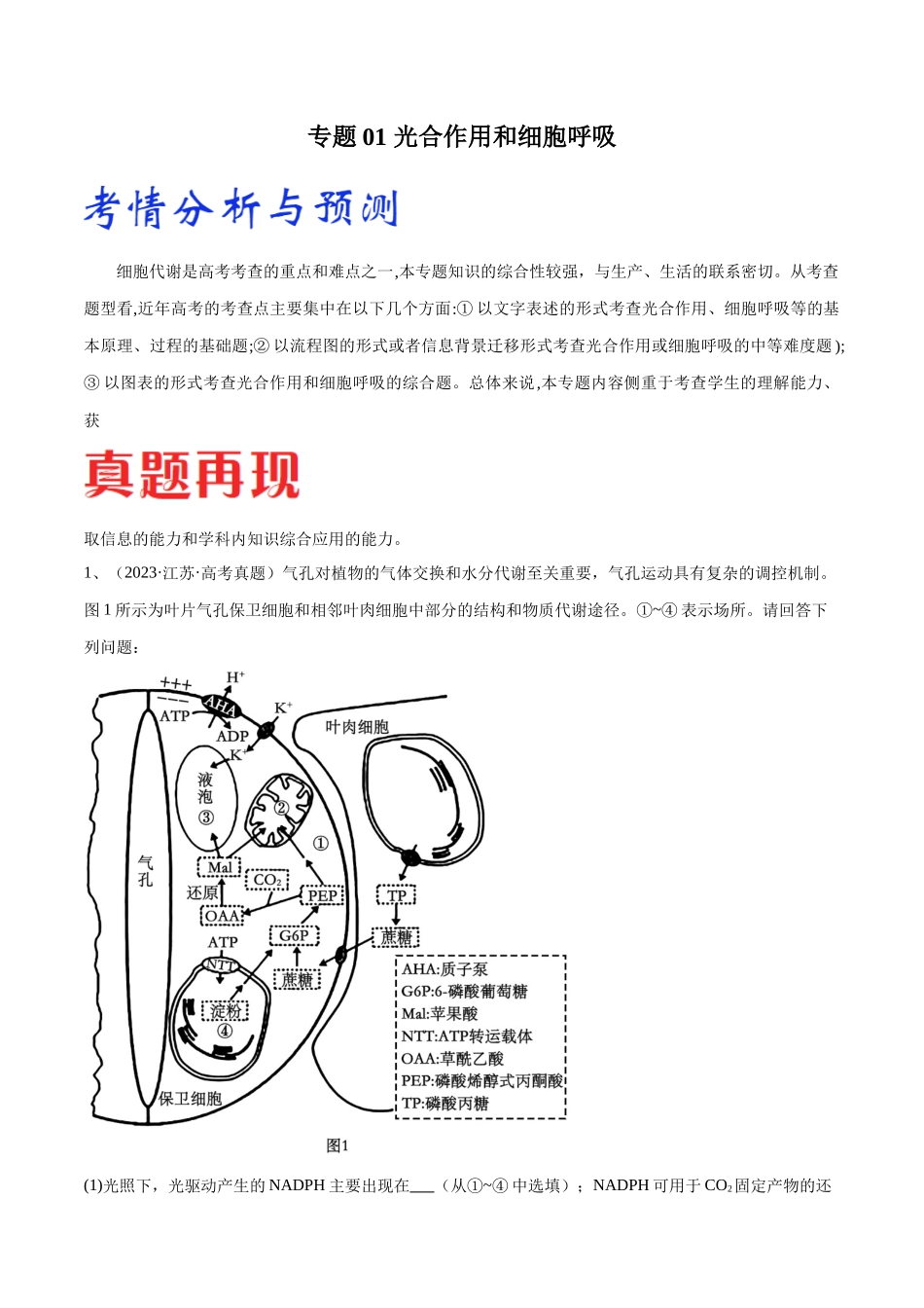 专题01 光合作用和细胞呼吸(原卷版).docx_第1页