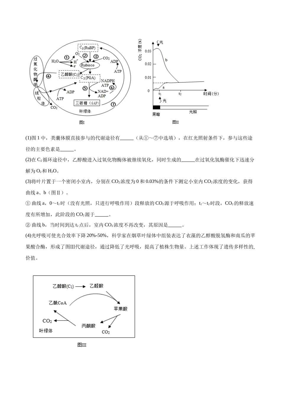 专题01 光合作用和细胞呼吸(原卷版).docx_第3页