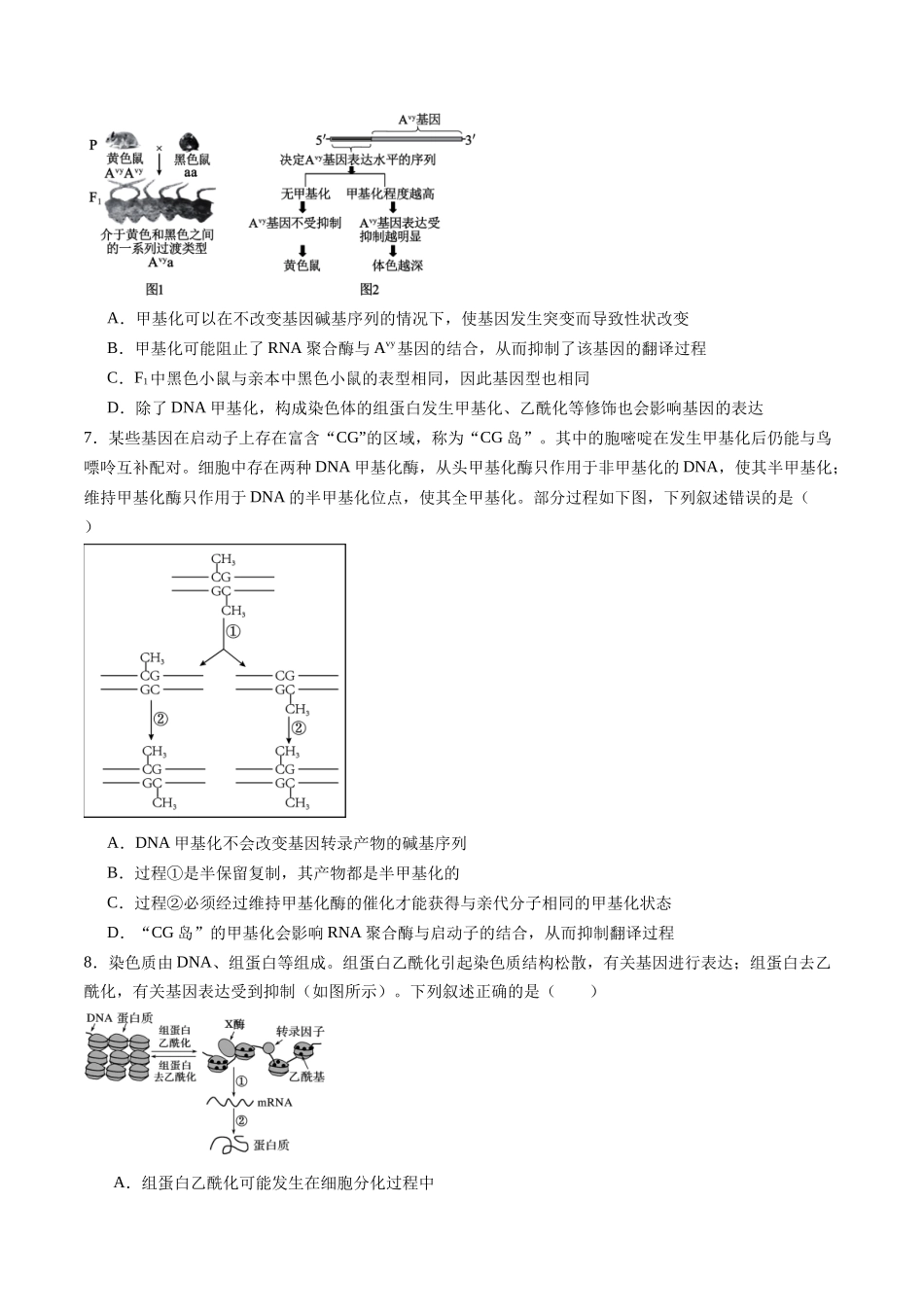 第23讲 基因与性状的关系(专项训练)(福建专用)(学生版) .docx_第3页