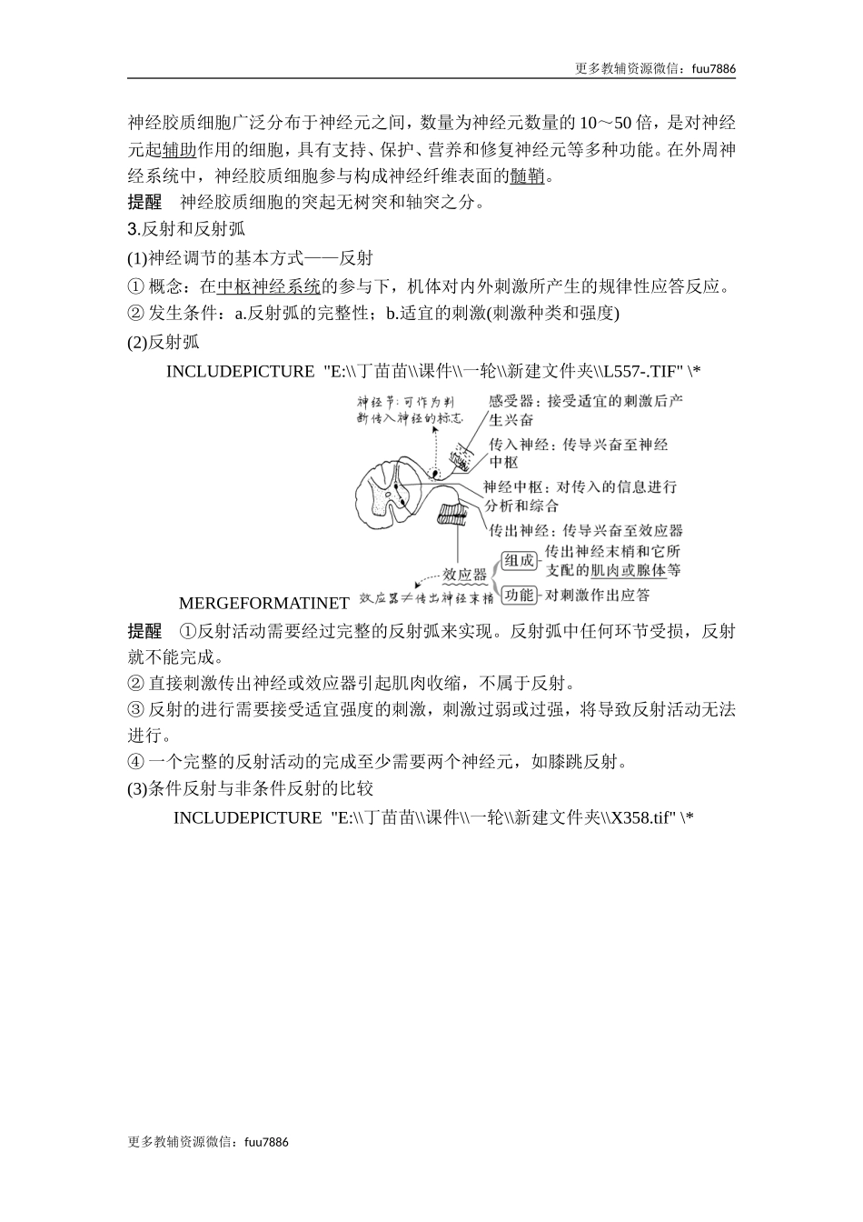 第23讲 神经调节.doc_第3页