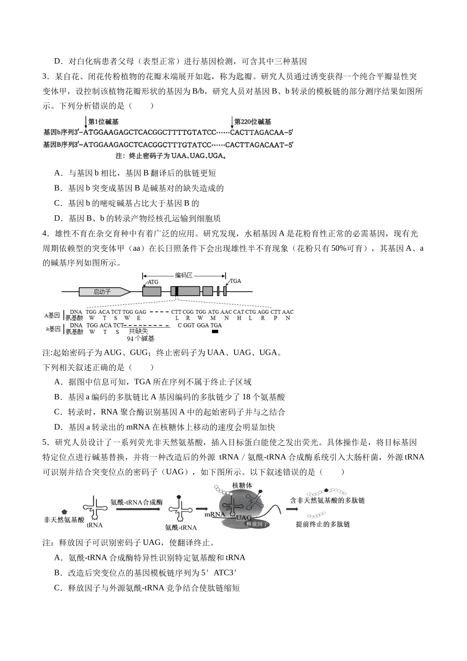 第24讲 基因突变与基因重组(专项训练)(福建专用)(学生版) .docx_第2页