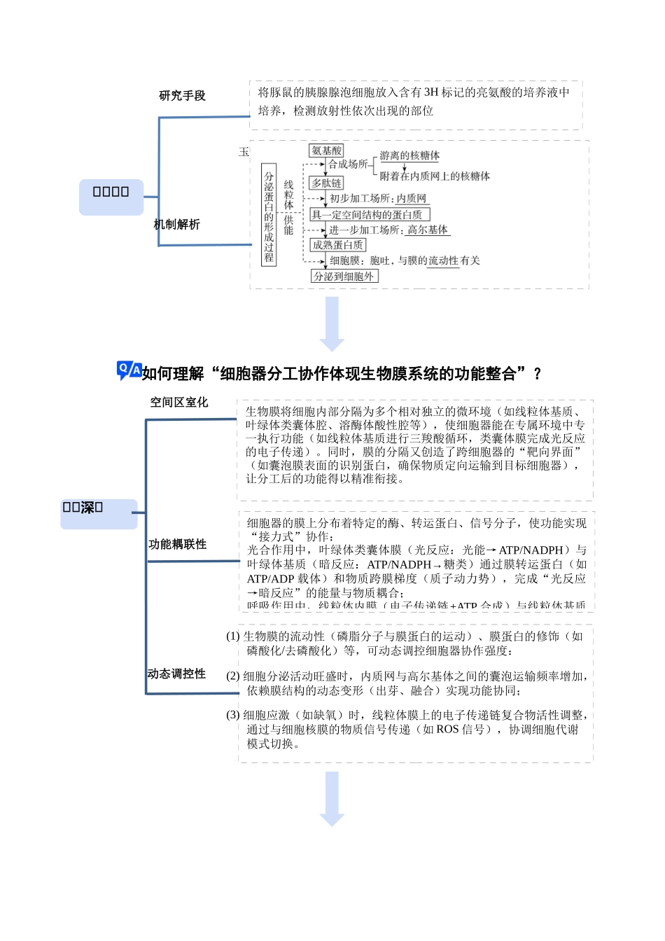 专题01 细胞的结构和功能（培优讲义）（教师版）.docx_第3页