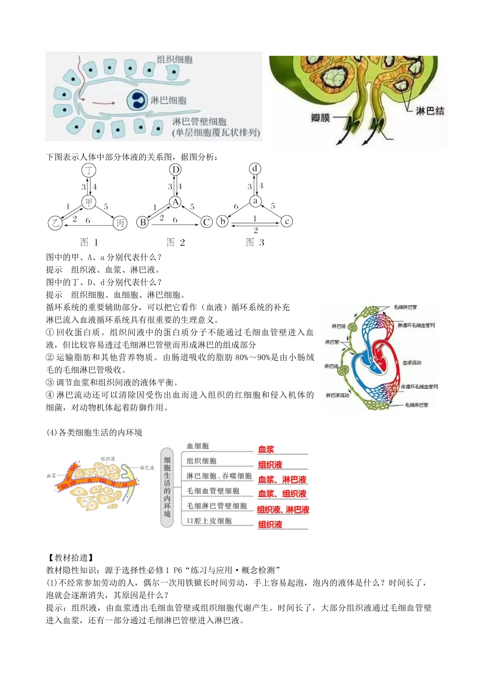 第25讲 内环境与稳态（讲义）（学生版）.docx_第3页