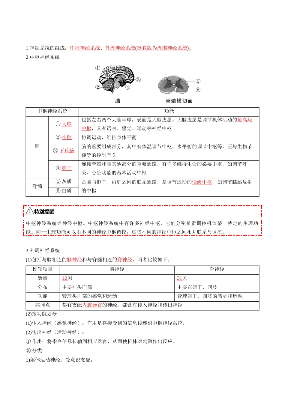 第25讲 神经调节(知识清单)(全国通用)(教师版).docx_第3页