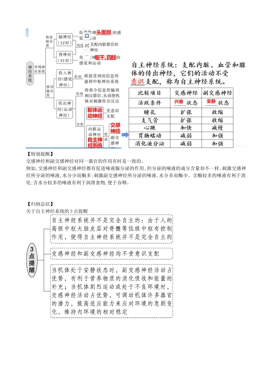 第26.1讲 神经调节的结构基础、基本方式、分级调节、高级功能（讲义）（教师版）.docx_第3页