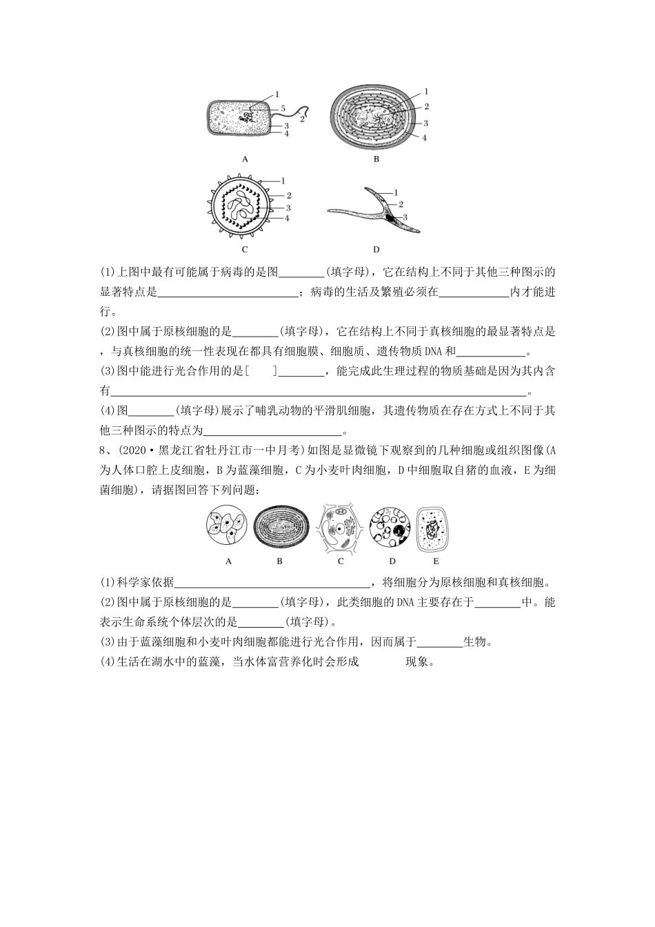 专题01 走近细胞(精练)(原卷版).docx_第2页